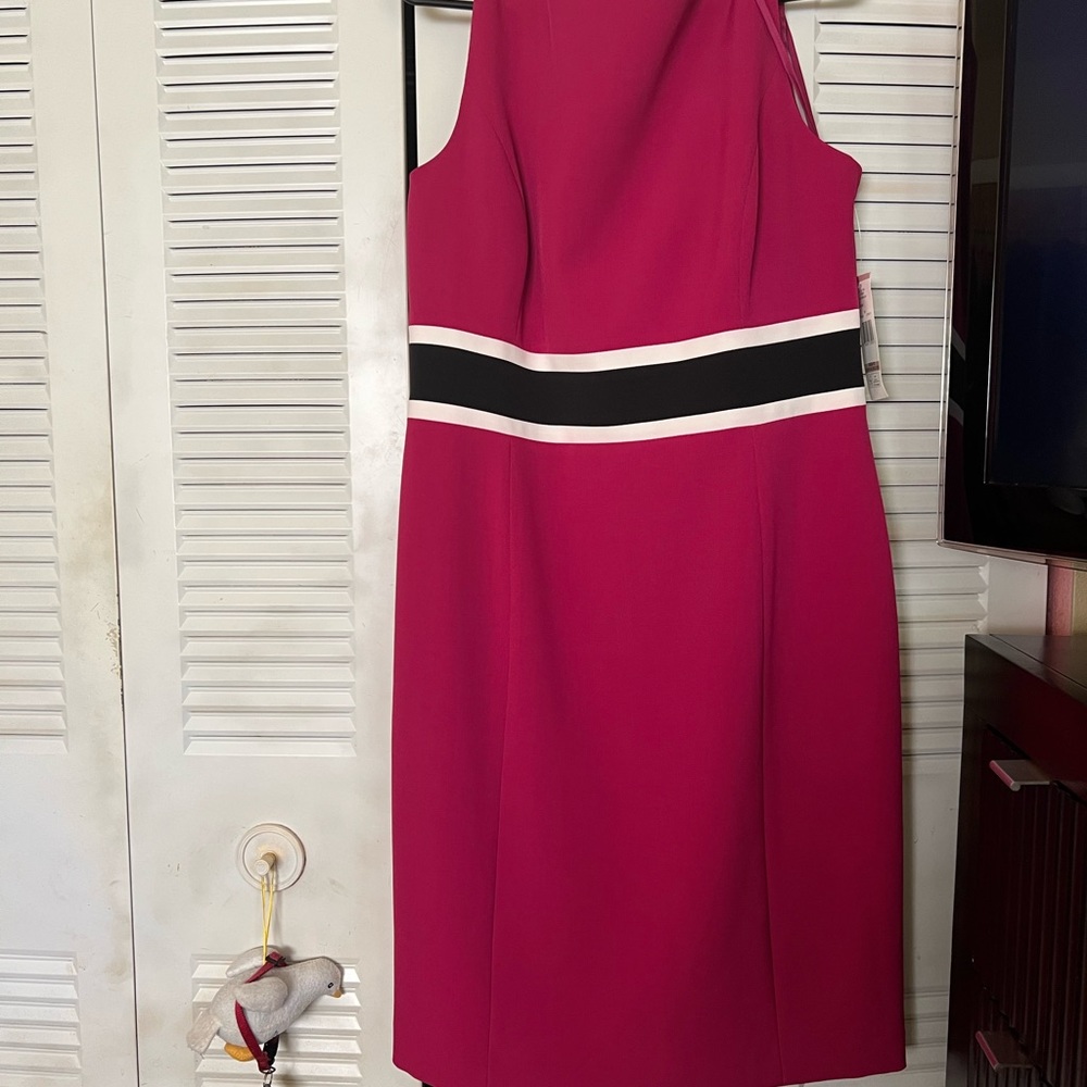 Woman’s zip back dress. Color is December raspberry and black.